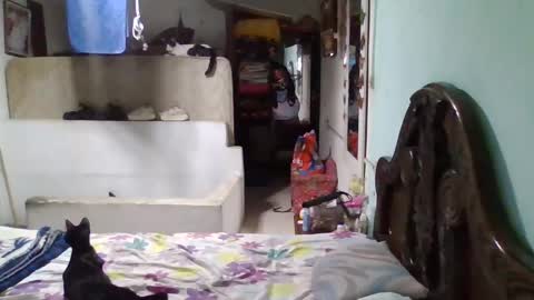 Abby online show from 01.26.25