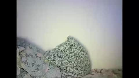 GoldenFish online show from 02.22.25