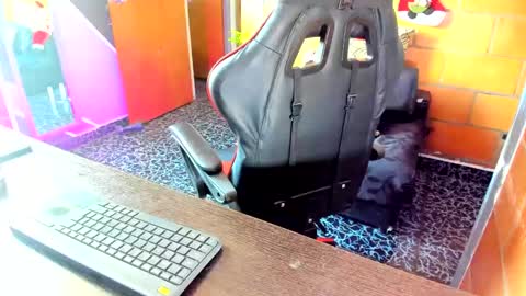 Adam Valencia online show from 12.05.24