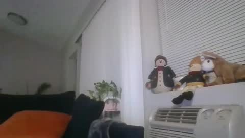 Snapshot of adamishere1 chatting on 03.01.26 Britishadam online show from 03.01.26