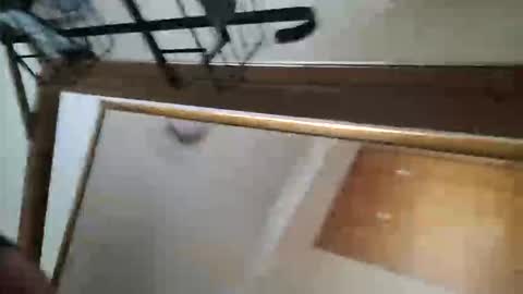 adamlucas54321s773712 online show from 10.08.25