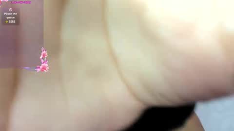 ADAMS Y NIKI online show from 11.03.25