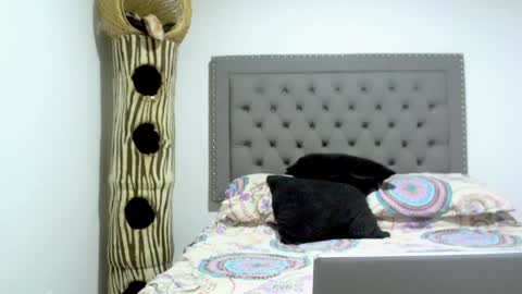 Snapshot of adan_eva960 chatting on 01.15.25 eva online show from 01.15.25