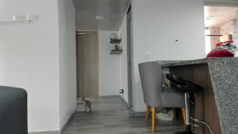 eva online show from 05.21.26