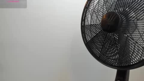 adbel sady online show from 10.28.25