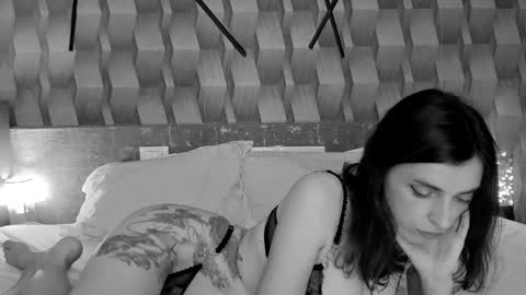 PMFORPVTBB online show from 11.12.25