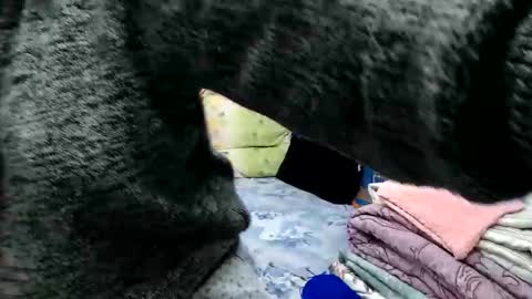 Larisa online show from 11.15.25