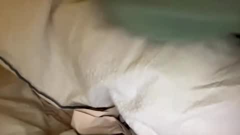 Snapshot of adriiii7878 chatting on 01.24.25 adriiiii online show from 01.24.25