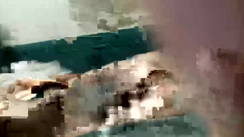 Snapshot of adrodiarellano chatting on 10.13.25 adrodiarellano online show from 10.13.25