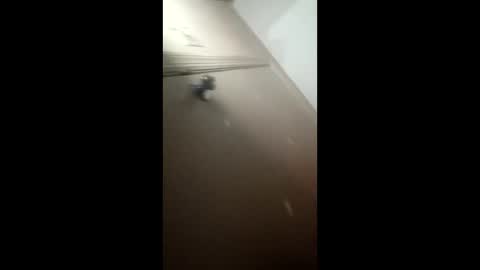 afnuke000 online show from 03.04.26