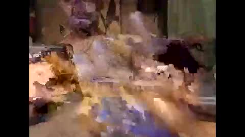 aftermathr3 online show from 05.27.26