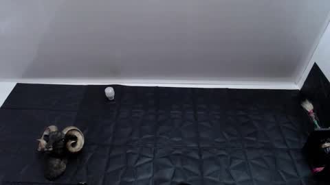  Miss Agata  online show from 01.07.26