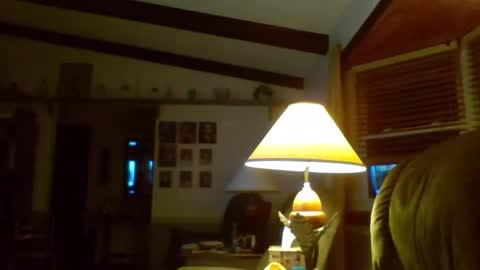 Snapshot of aguynrkfrd chatting on 01.02.25 aguynrkfrd online show from 01.02.25