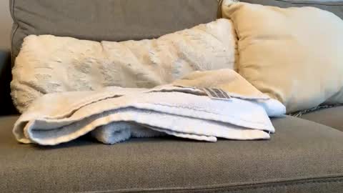 canadianboy92 online show from 11.06.25