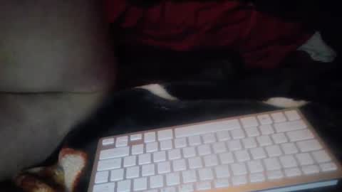 Snapshot of aken4it chatting on 10.17.25 aken4it online show from 10.17.25