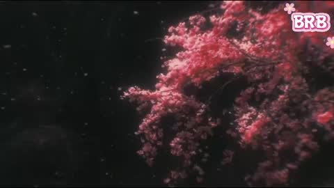 Liza online show from 04.12.26