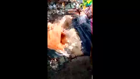 alagatorsnappnturtle671235 online show from 04.18.26