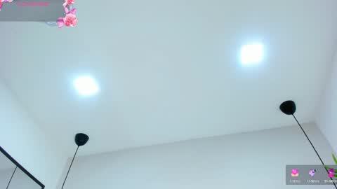 Snapshot of alannablair chatting on 02.28.25 Alanna online show from 02.28.25