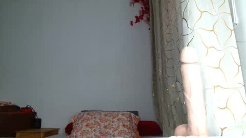 AllylicArabis online show from 09.11.25