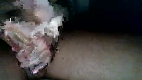 aldous_fuxley online show from 02.20.26