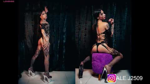 Ale online show from 11.11.25