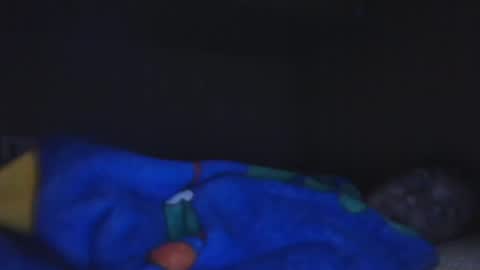 Snapshot of aledewalt chatting on 12.04.24 call me on skp alexdewalt online show from 12.04.24