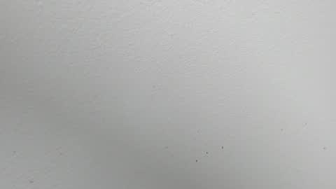 Alejandra online show from 11.14.25