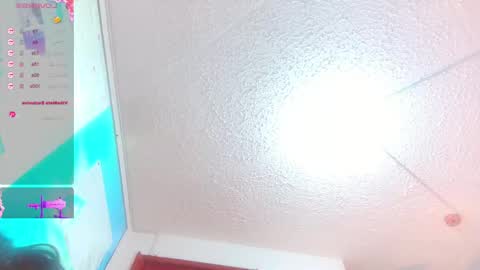 Snapshot of alejandra_martinss chatting on 05.29.26 alejandra martins online show from 05.29.26