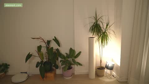 Ale online show from 04.06.26