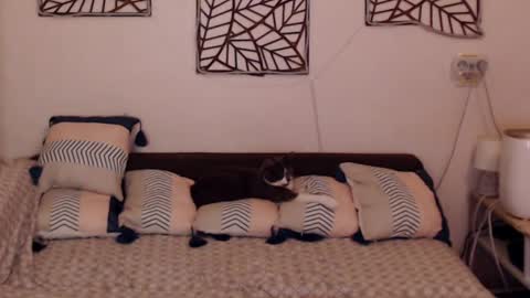 Sandra online show from 02.25.25