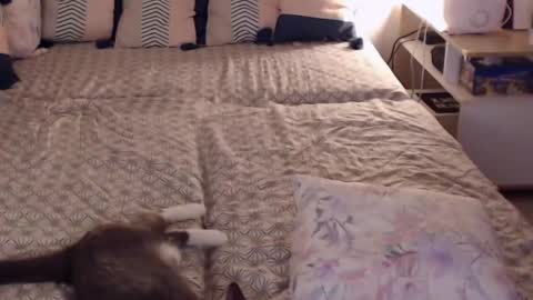 Sandra online show from 02.28.25