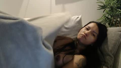 Nicha online show from 01.07.26