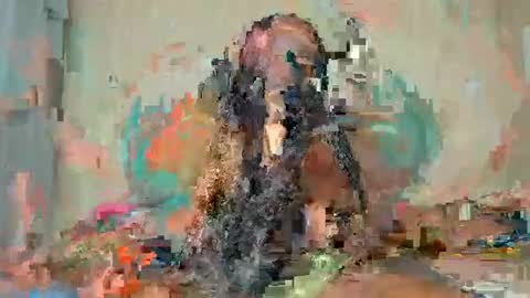 Alexa online show from 01.15.26