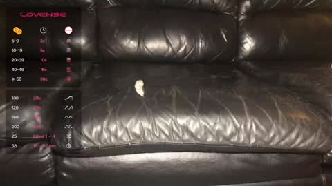 Snapshot of alexandjohntv chatting on 12.21.24 Alex John online show from 12.21.24