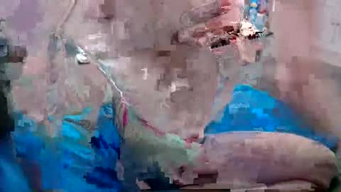 Doggystyle online show from 12.25.24