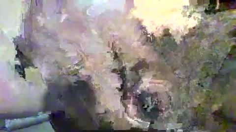 Alex online show from 11.12.25