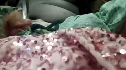 alexis0007754689 online show from 01.06.26