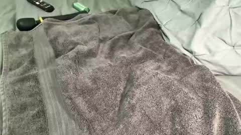 Snapshot of alexis_696969 chatting on 12.13.24 Alexis online show from 12.13.24