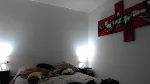 cami online show from 03.12.25