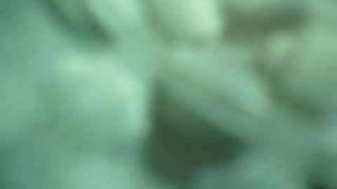 Snapshot of ali_asianguyuk chatting on 12.01.25 ali_asianguyuk online show from 12.01.25