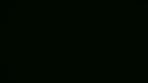 Alice online show from 12.19.25