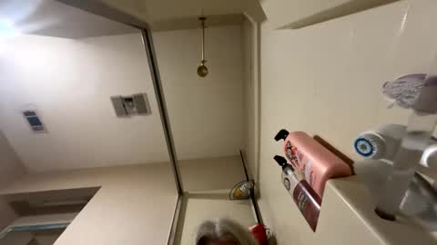 Alices Curiosity online show from 12.17.24