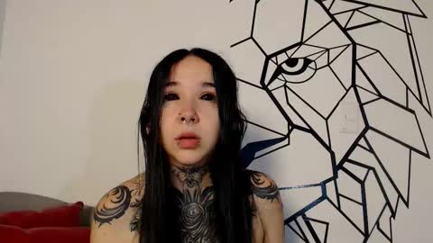    online show from 03.03.26