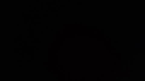     online show from 03.26.26