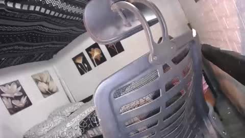 Snapshot of allday_mistress chatting on 12.16.25 trina online show from 12.16.25