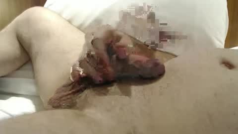 Frank online show from 01.29.25