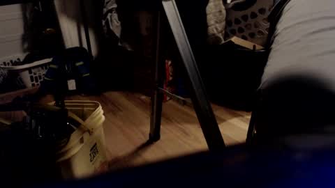 allwolf0323 online show from 03.21.26