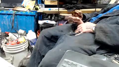 allwolf0323 online show from 04.17.26