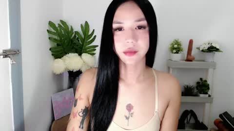 ally_monts online show from 11.29.25