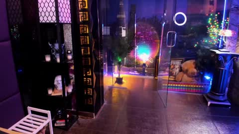 Snapshot of alma_pearl chatting on 02.28.26 Alma online show from 02.28.26